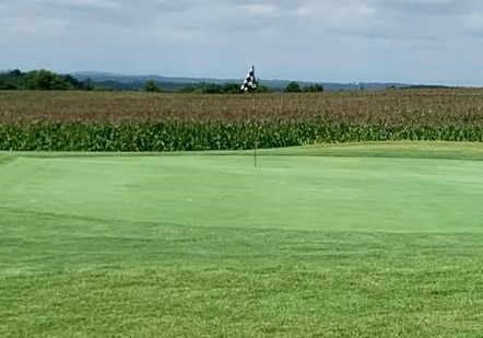 corn_flag